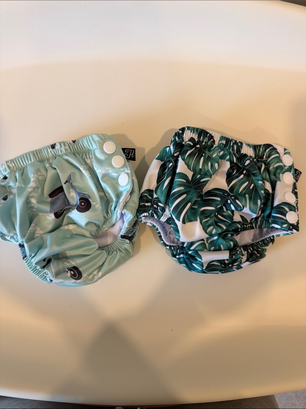 Honeysuckle Swim Company- Swim Diaper- Mint Scooter & Tropical Leaf